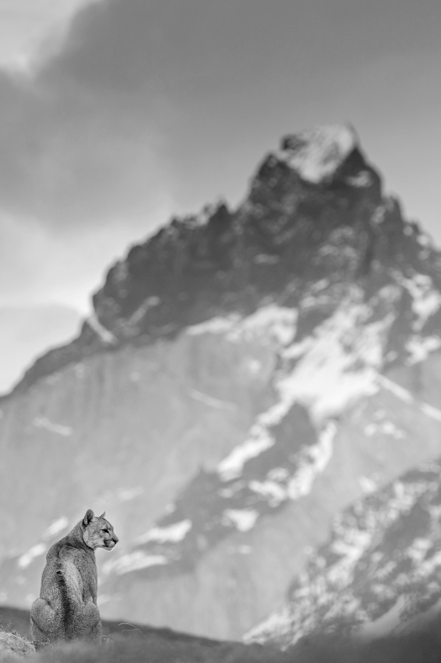paine_DSC6148